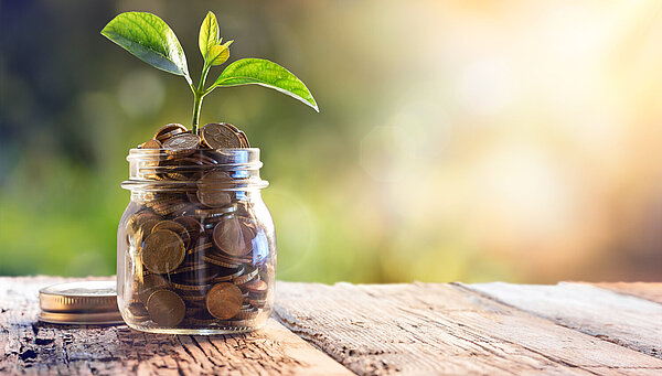 Marmeladenglas mit Münzen aus denen ein Trieb wächst