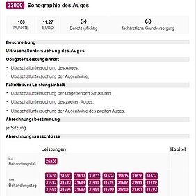 Beispielseite des EBM im Web, hier Sonografie eines Auges