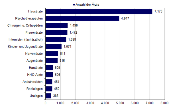 Anzahl der &Auml;rzte nach Fachgruppen