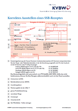 Vorschaubild der Ausfüllhilfe zum SSB-Rezept