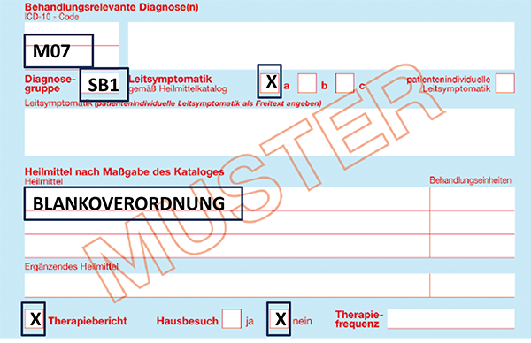 Ausschnitt Muster 13 mit beispielhafter Beschriftung einer Blankoverordnung